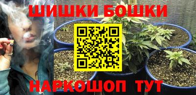 прущие крисы Будённовск